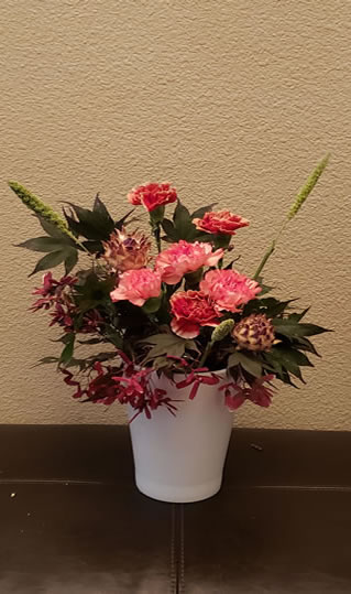 Foxtail Millet Japanese Maple Carnation Rose Thistle Cardoon